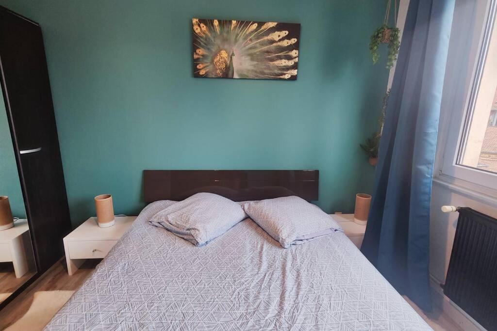 Apartament Colmar Chaleureux 5 Mn Du Centre T2 Zewnętrze zdjęcie