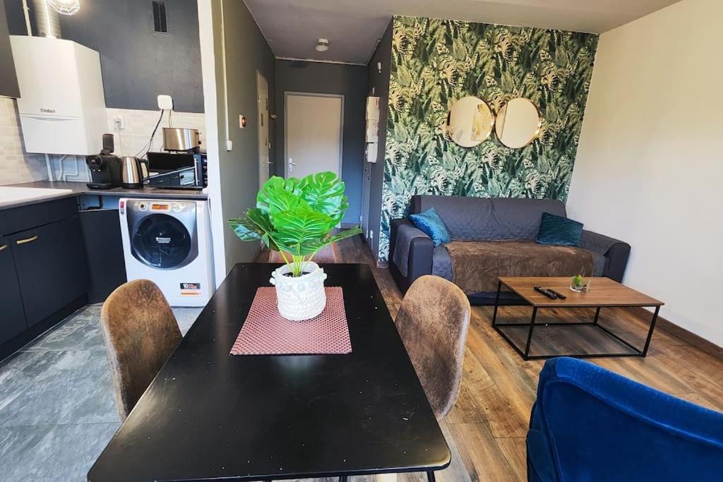 Apartament Colmar Chaleureux 5 Mn Du Centre T2 Zewnętrze zdjęcie