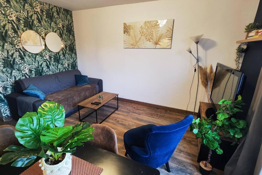 Apartament Colmar Chaleureux 5 Mn Du Centre T2 Zewnętrze zdjęcie